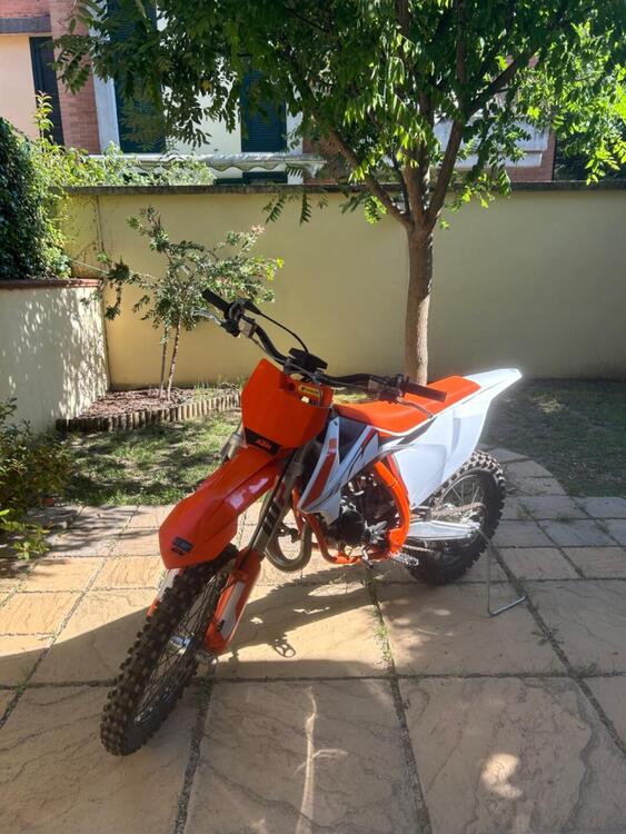 KTM SX 85 (2023) (5)