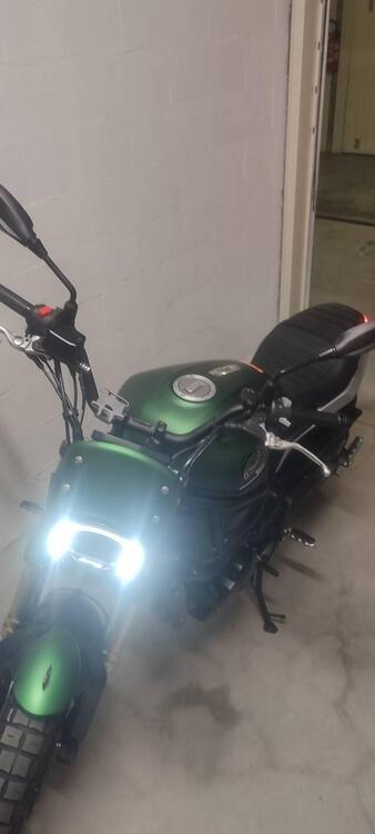 Benelli Leoncino 800 Trail (2022 - 24) (2)