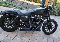 Harley-Davidson 883 Iron (2017 - 20) - XL 883N usata