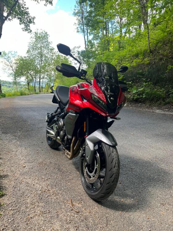 Triumph Tiger Sport 660 (2022 - 24)