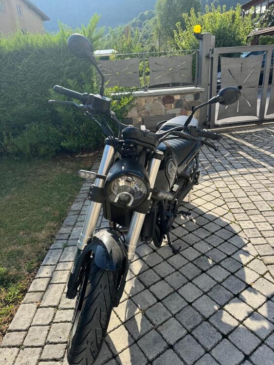 Benelli Leoncino 500 (2021 - 24) (5)