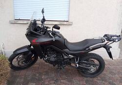 Honda Transalp XL750 Urban (2023 - 24) usata