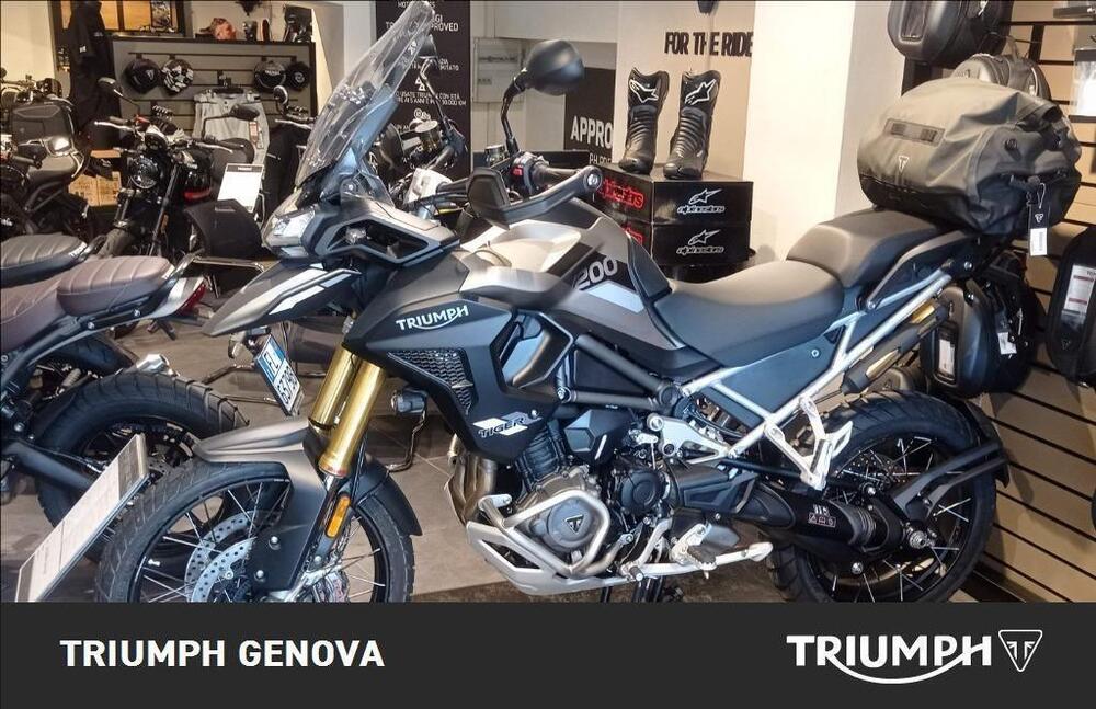 Triumph Tiger 1200 Rally Pro (2024)