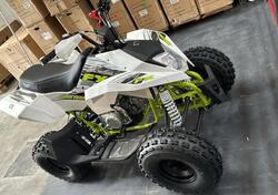  Altre moto o tipologie Quad usata