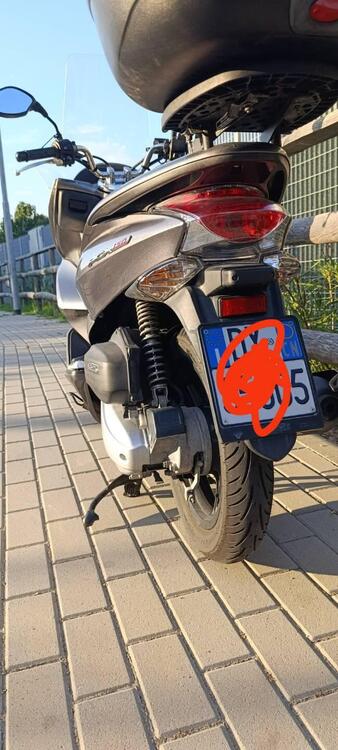 Honda PCX 150 (2012 - 13) (5)