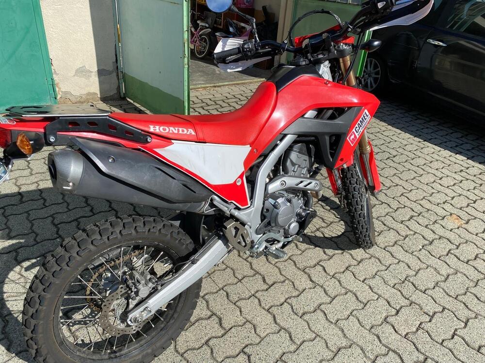 Honda CRF 300 L (2021 - 24) (5)