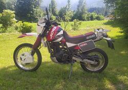 Suzuki DR 650 R (1990 - 91) usata