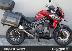 Triumph Tiger 1200 XRt (2018 - 20) usata