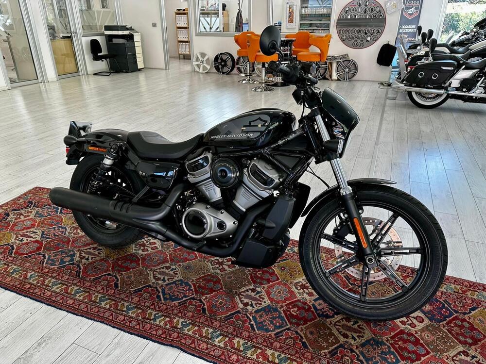 Harley-Davidson Nightster (2023 - 24)