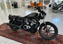 Harley-Davidson Nightster (2023 - 24) usata