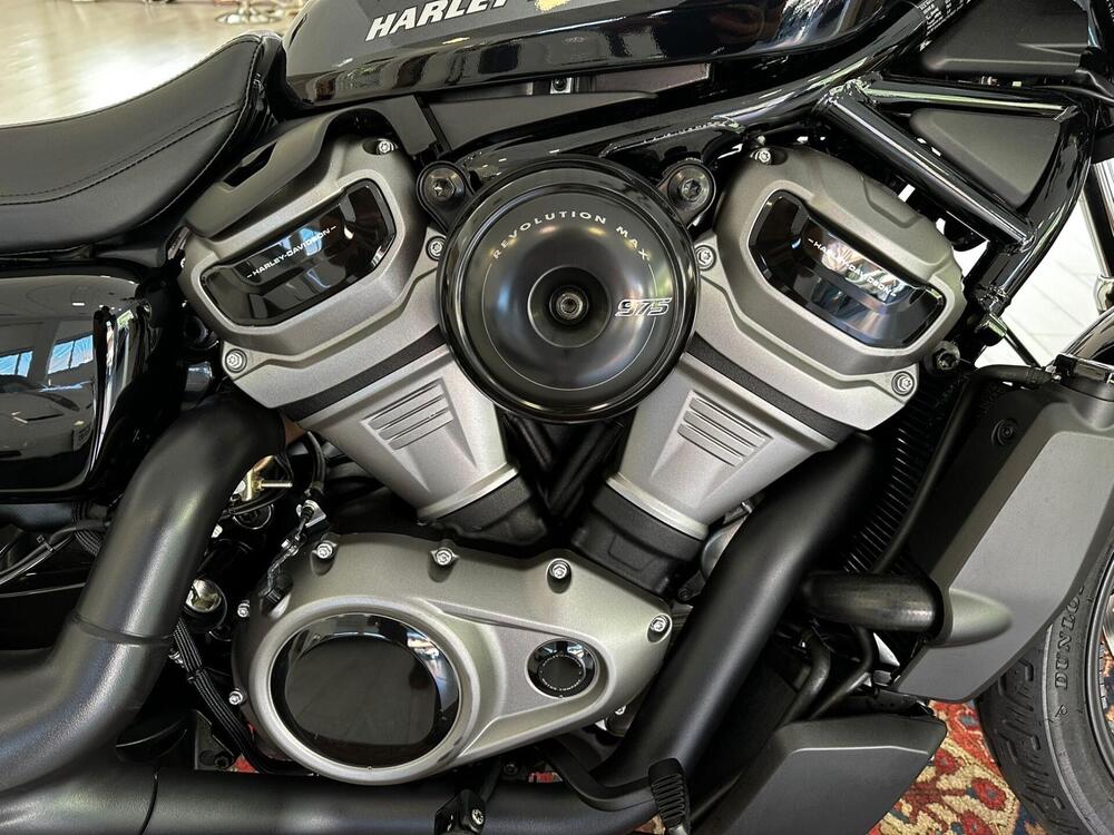 Harley-Davidson Nightster (2023 - 24) (3)