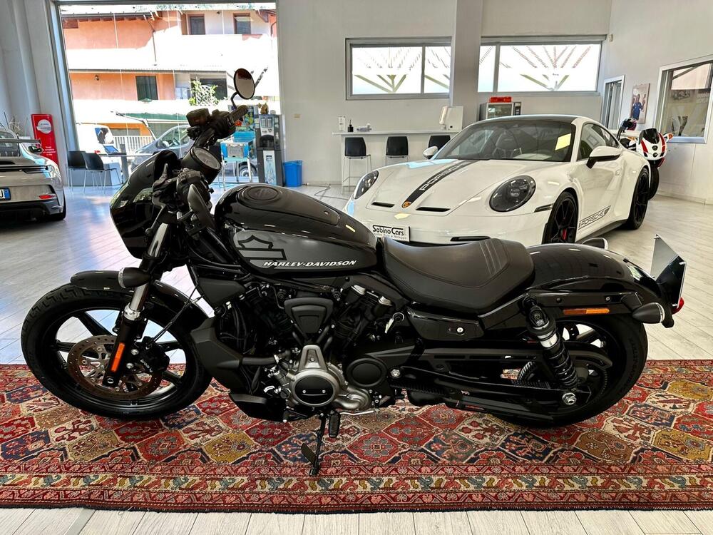 Harley-Davidson Nightster (2023 - 24) (5)