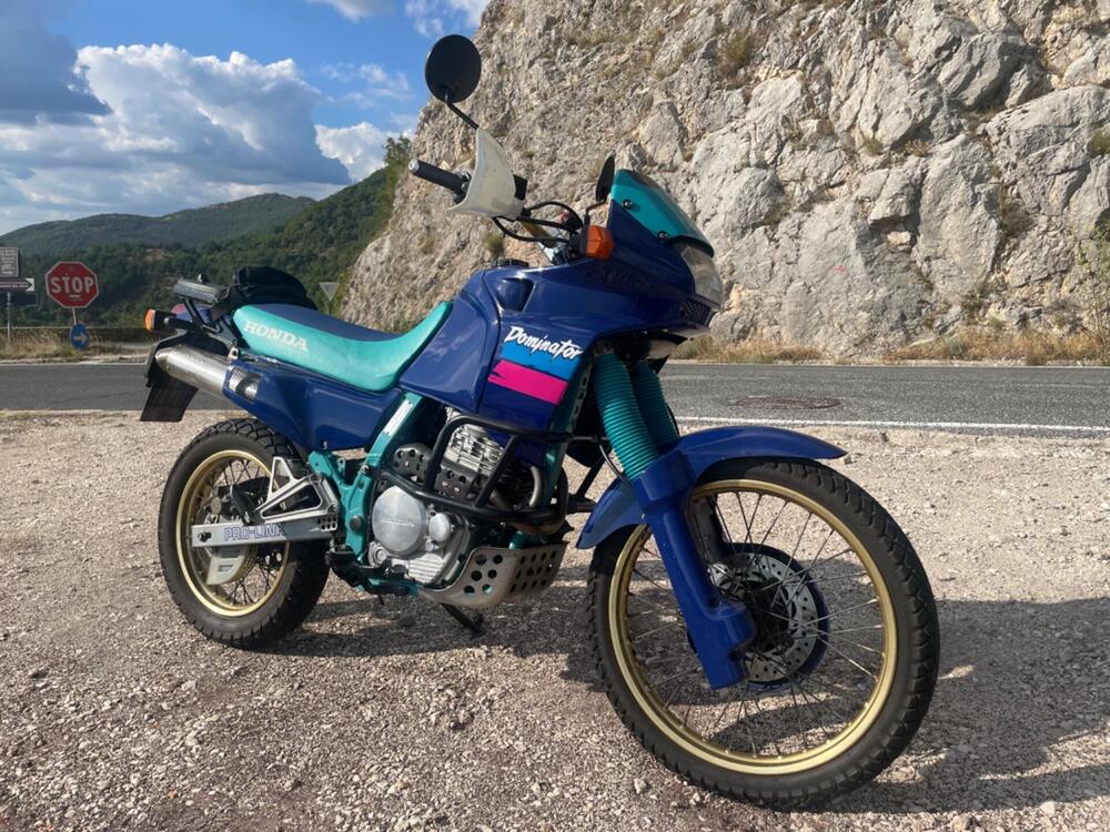 Honda Dominator (2)