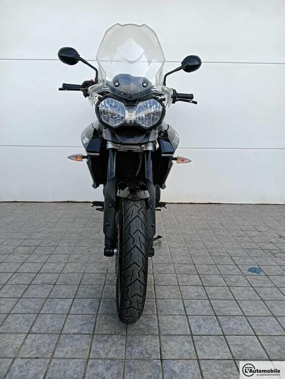 Triumph Tiger 800 XR (2015 - 17) (3)