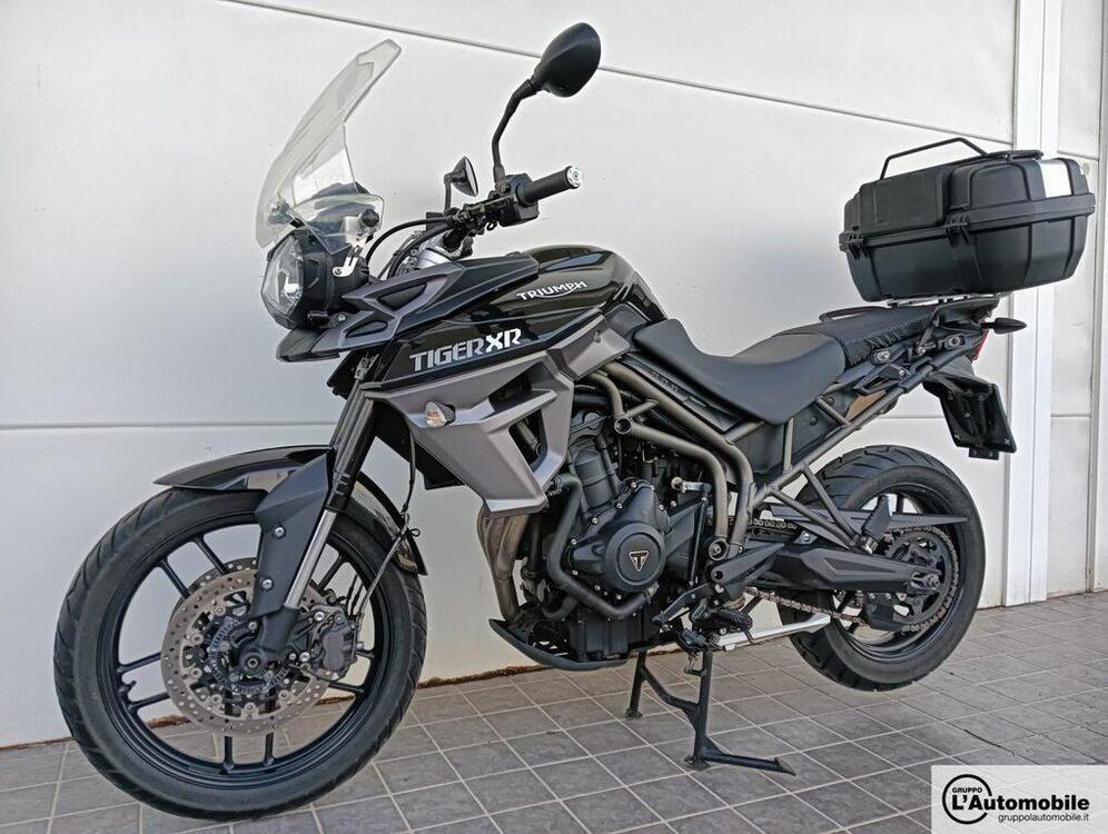 Triumph Tiger 800 XR (2015 - 17)