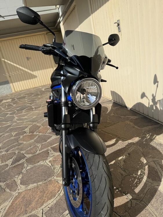 Suzuki SV650 (2021 - 24) (2)