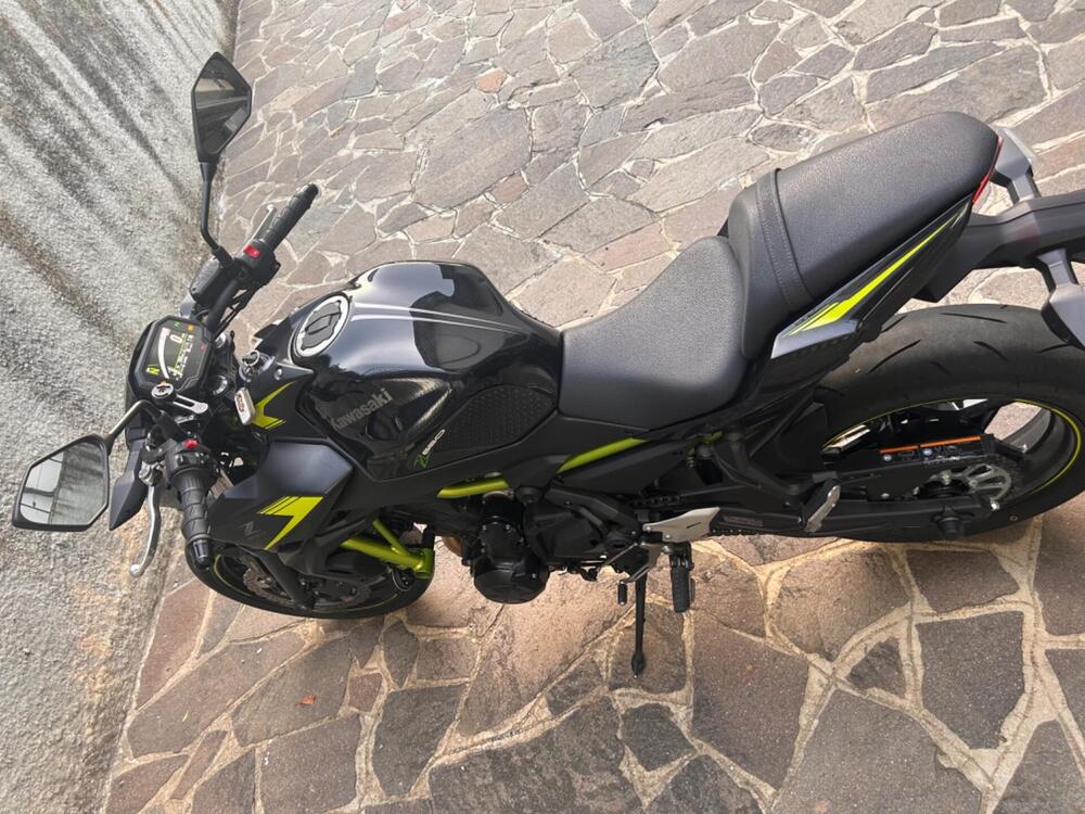 Kawasaki Z 650 (2021 - 24)