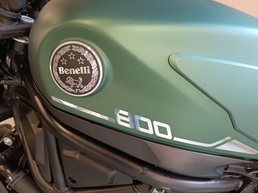 Benelli Leoncino 800 Trail (2022 - 24) (4)