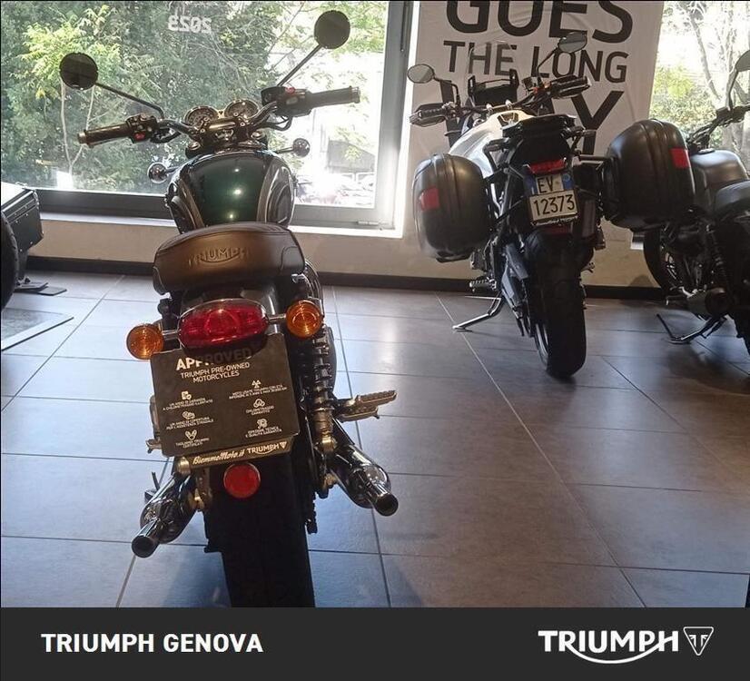 Triumph Bonneville T120 Gold Line Edition (2022 - 23) (4)