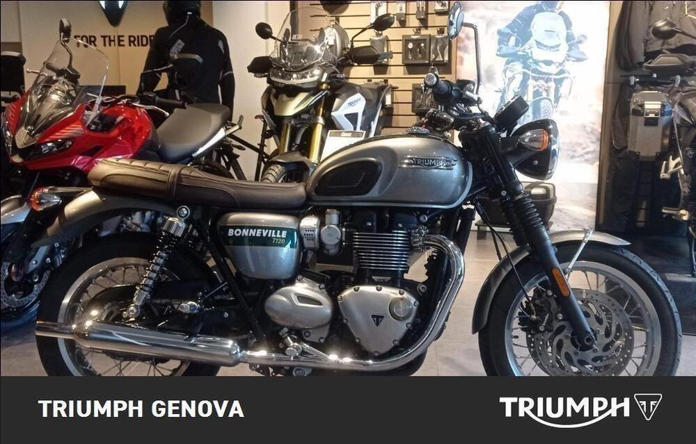 Triumph Bonneville T120 Gold Line Edition (2022 - 23) (3)