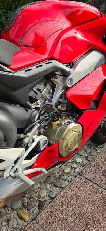 Ducati Panigale V4 S 1100 (2018 - 19) (5)