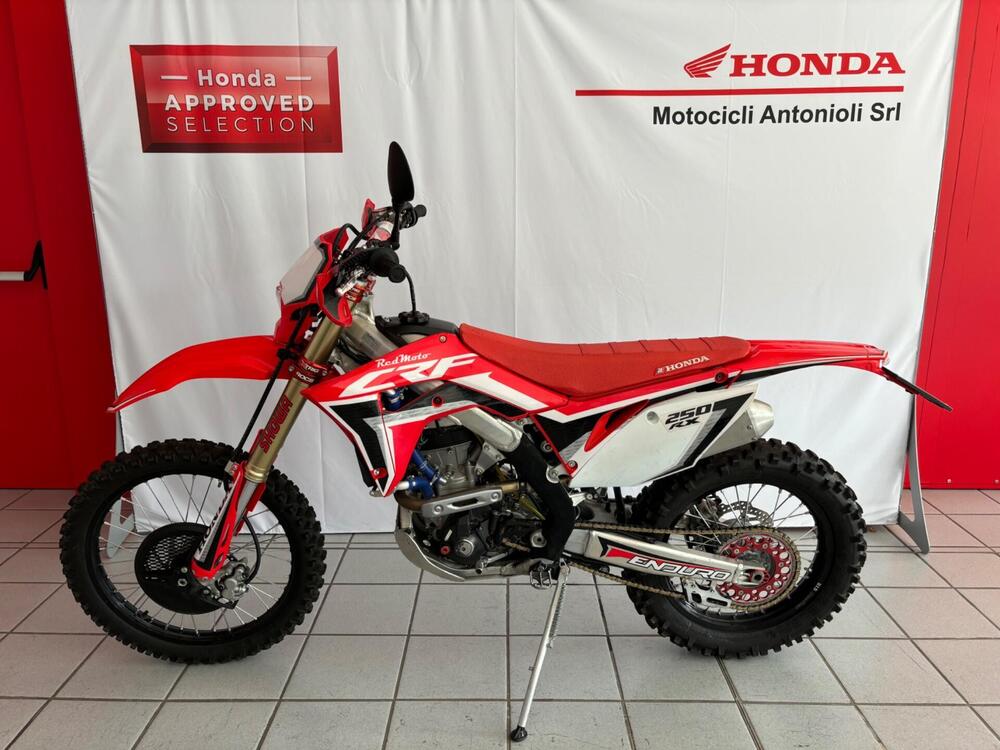 Honda CRF 250 RX Enduro (2020) (2)