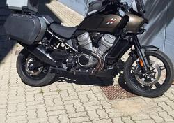 Harley-Davidson Pan America 1250 (2020 - 24) usata