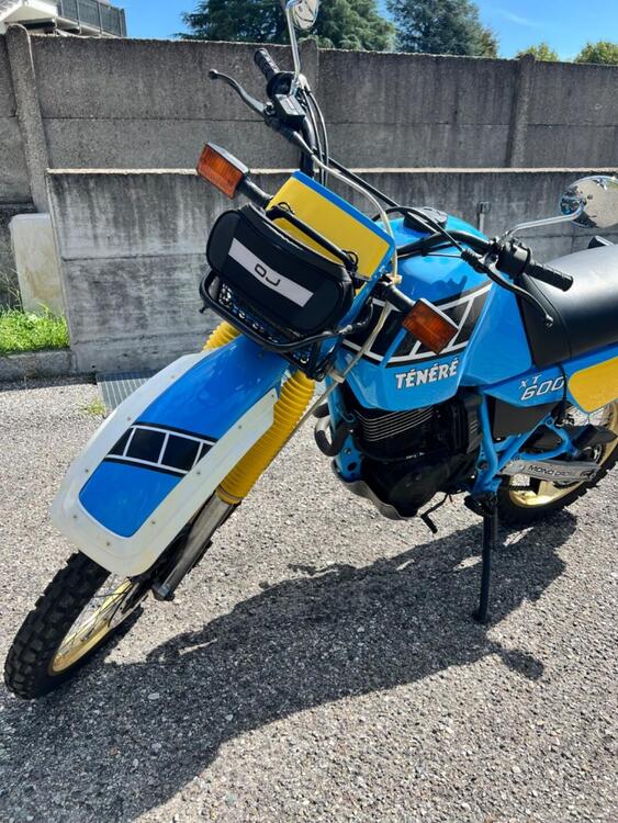 Yamaha XT 600 tenere 34l (5)