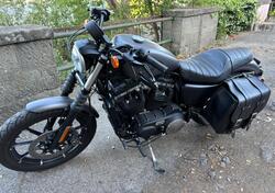 Harley-Davidson 883 Iron (2017 - 20) - XL 883N usata