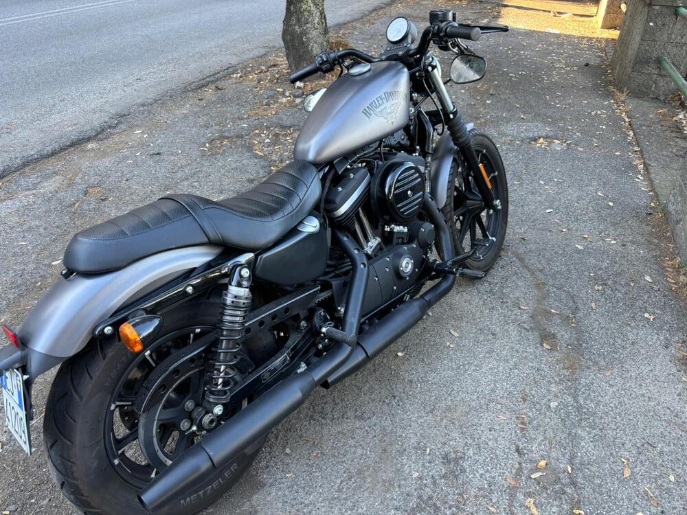 Harley-Davidson 883 Iron (2017 - 20) - XL 883N (4)