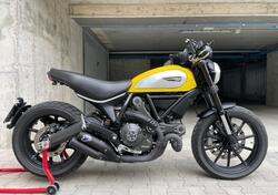 Ducati Scrambler 800 Icon (2015 - 16) usata