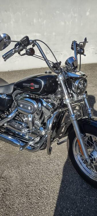 Harley-Davidson 1200 Custom (2007 - 13) - XL 1200C (5)