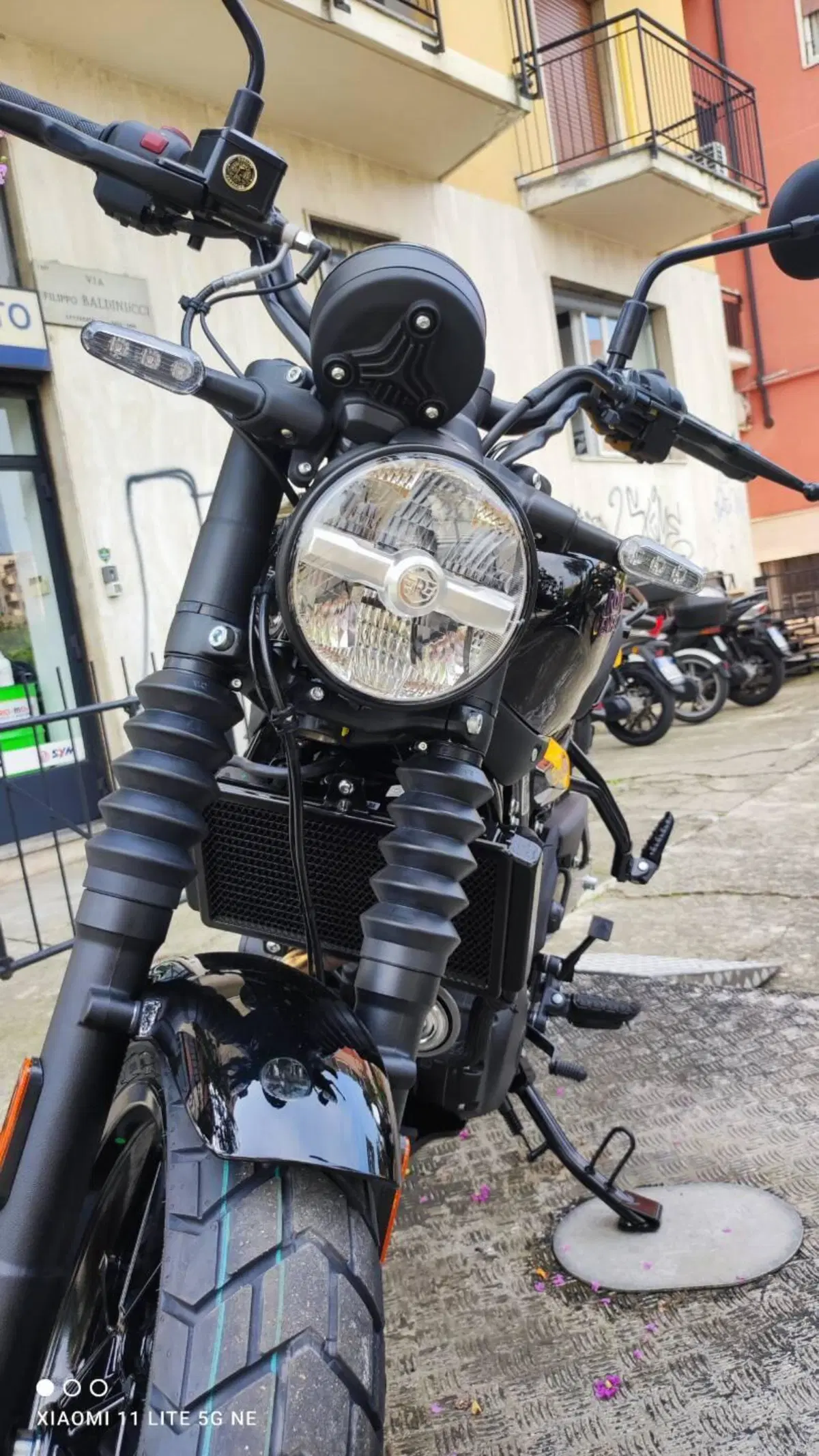 Royal Enfield Guerrilla 450 (2024 - 26) (9)
