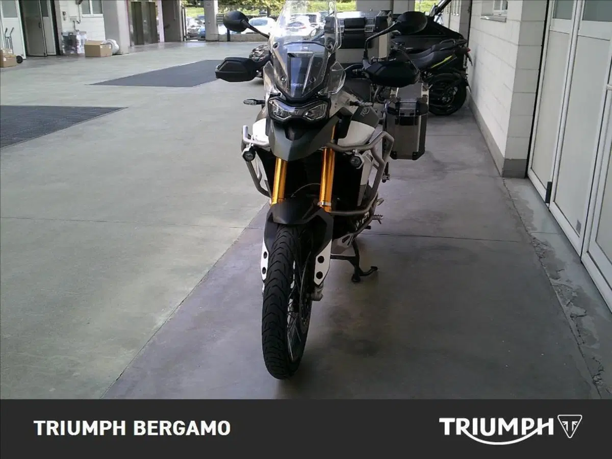 Triumph Tiger 900 Rally Pro (2020 - 23) (5)