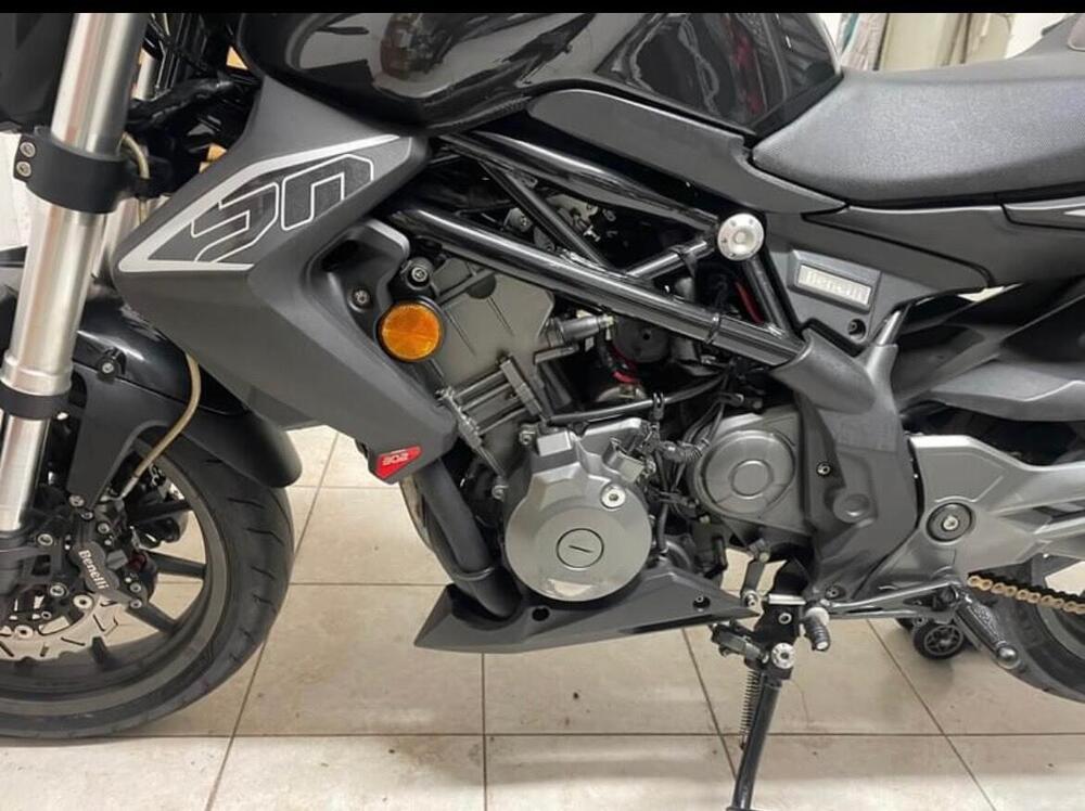 Benelli BN 302 (2014 - 16) (5)