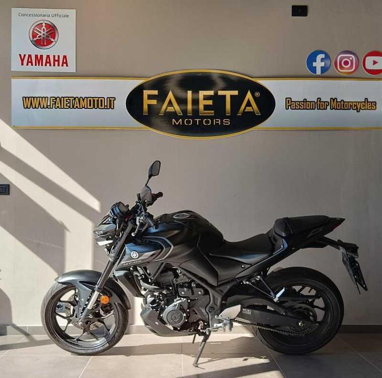 Yamaha MT-03 (2022 - 24)