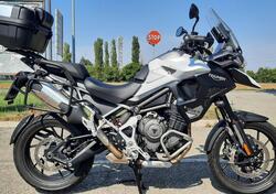 Triumph Tiger 1200 GT Pro (2022 - 23) usata