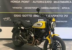 Ducati Scrambler 800 Icon (2021 - 22) usata