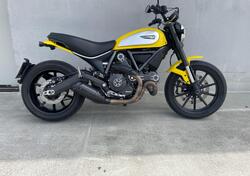 Ducati Scrambler 800 Icon (2015 - 16) usata