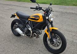 Ducati Scrambler 800 Classic (2015 - 16) usata