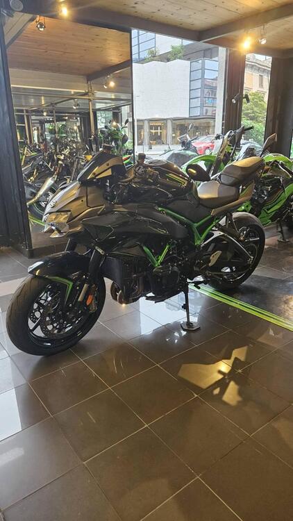 Kawasaki Z H2 1000 (2020) (2)