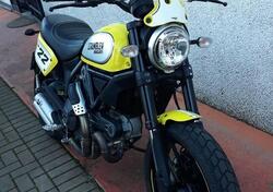 Ducati Scrambler 800 Flat Track Pro (2016 - 17) usata