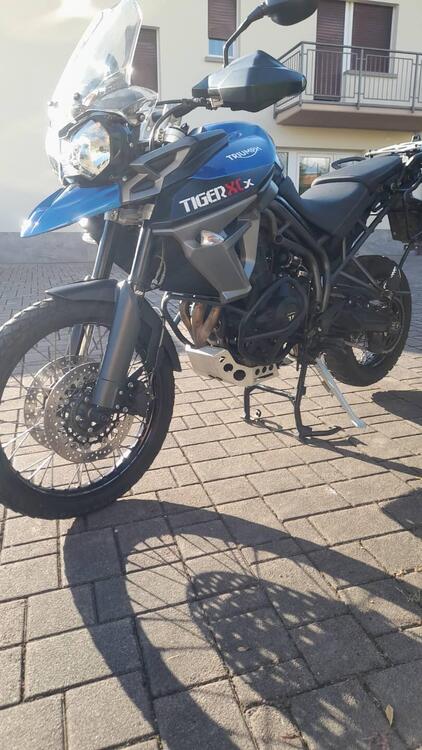 Triumph Tiger 800 XCx (2015 - 17) (5)