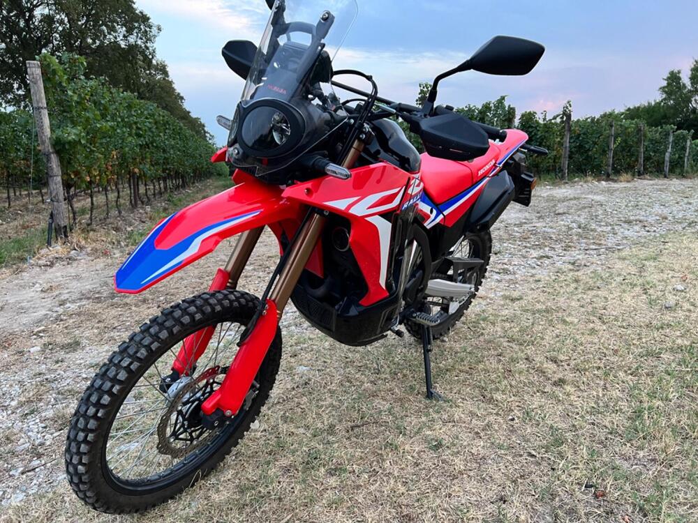 Honda CRF 300 Rally (2021 - 24) (2)