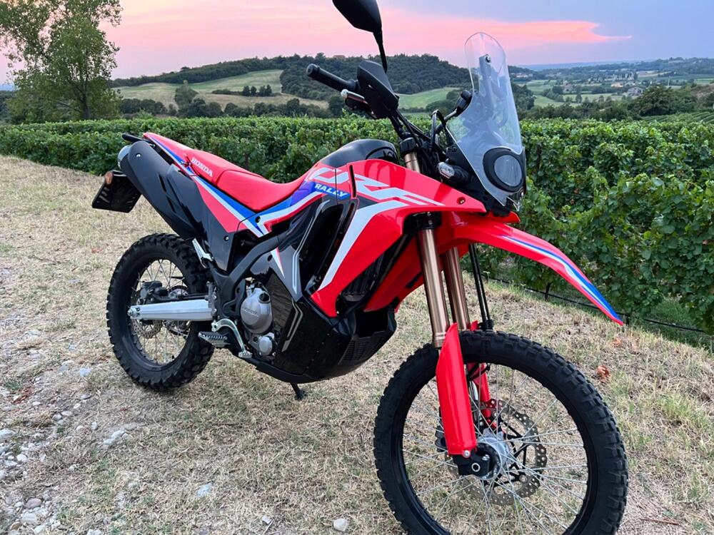 Honda CRF 300 Rally (2021 - 24) (4)