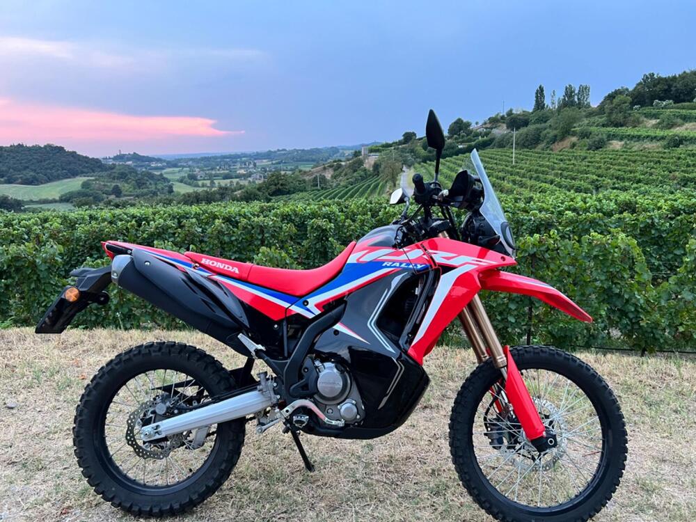 Honda CRF 300 Rally (2021 - 24) (5)