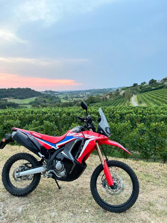 Honda CRF 300 Rally (2021 - 24)