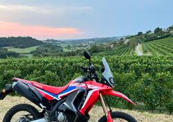 Honda CRF 300 Rally (2021 - 24) usata