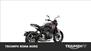 Triumph Trident 660 Triple Tribute Edition (2024) (7)