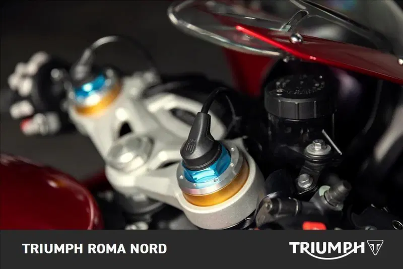 Triumph Speed Triple 1200 RR (2022 - 26) (3)